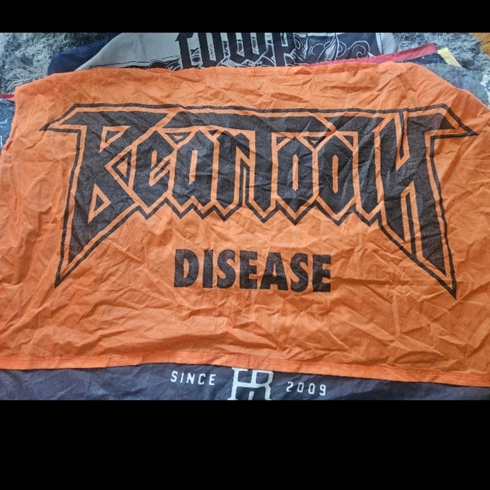 Beartooth Flag
